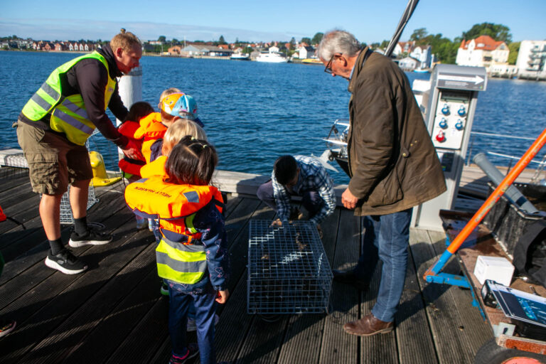 Mandag sættes der fiskebørnehaver i vandet ved Marina Minde