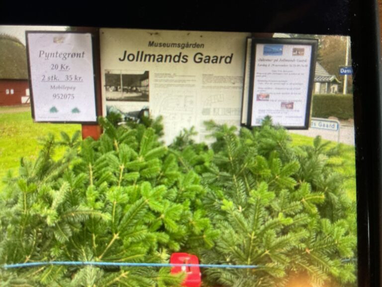 Julestue på Jollmands Gård