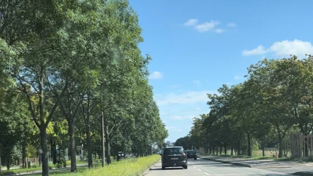 Læserindlæg: Sønderborg skal være Danmarks mest attraktive by at bo i