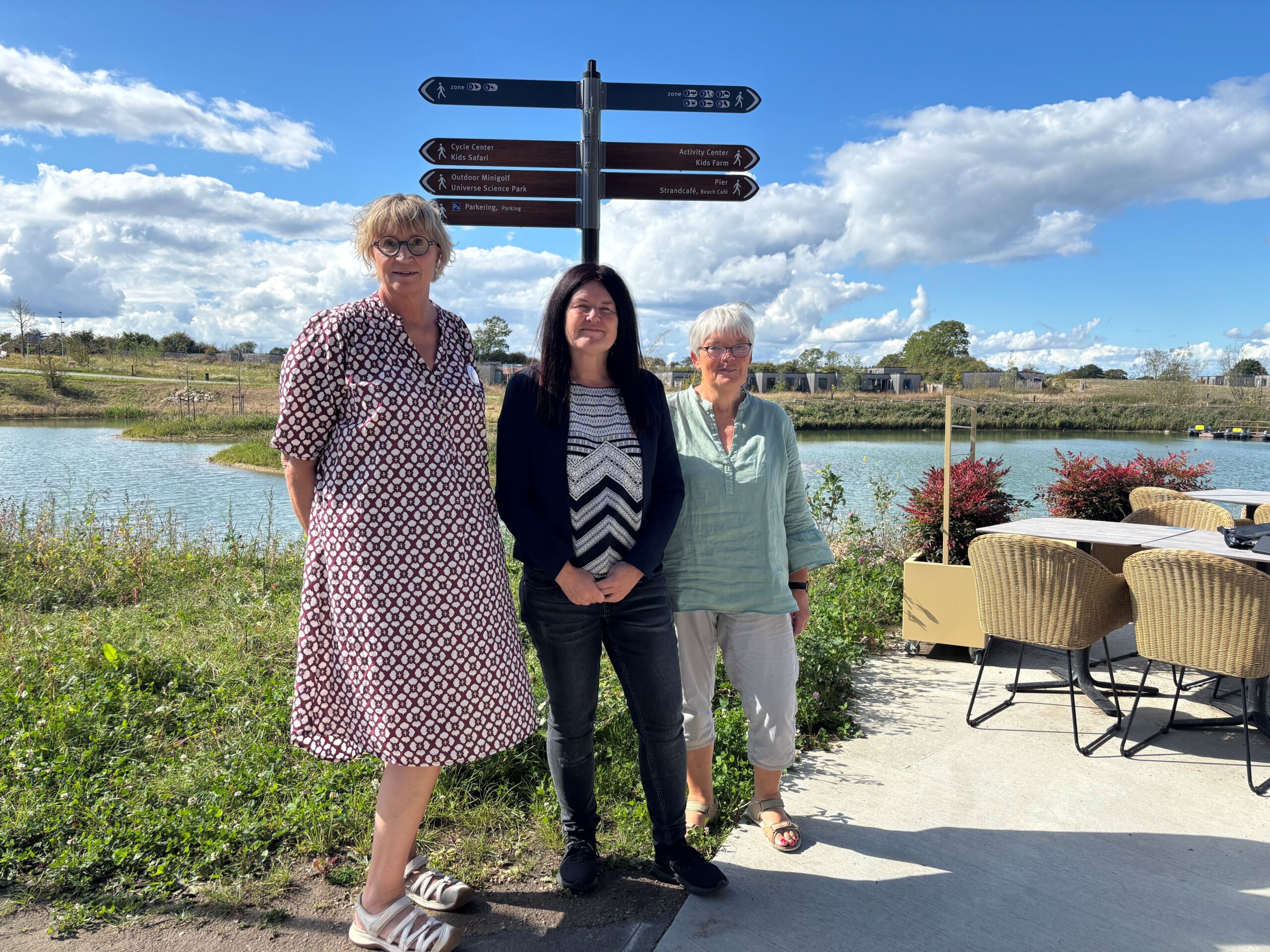 SF vil gøre det gratis for kommuner at rive tomme boliger ned