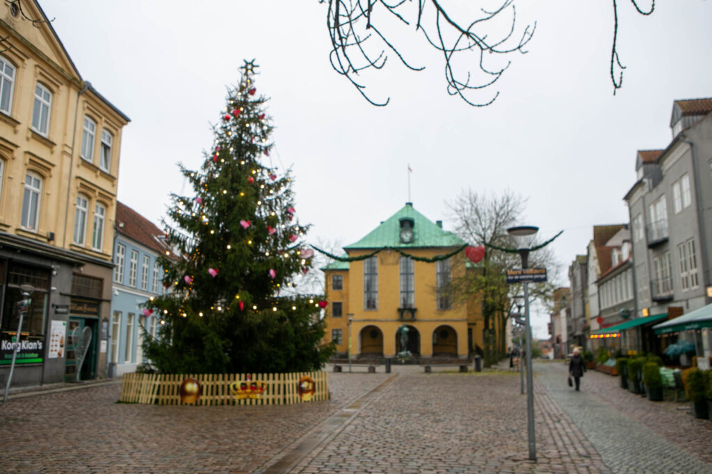 Afsløring af Sønderborg Vinen