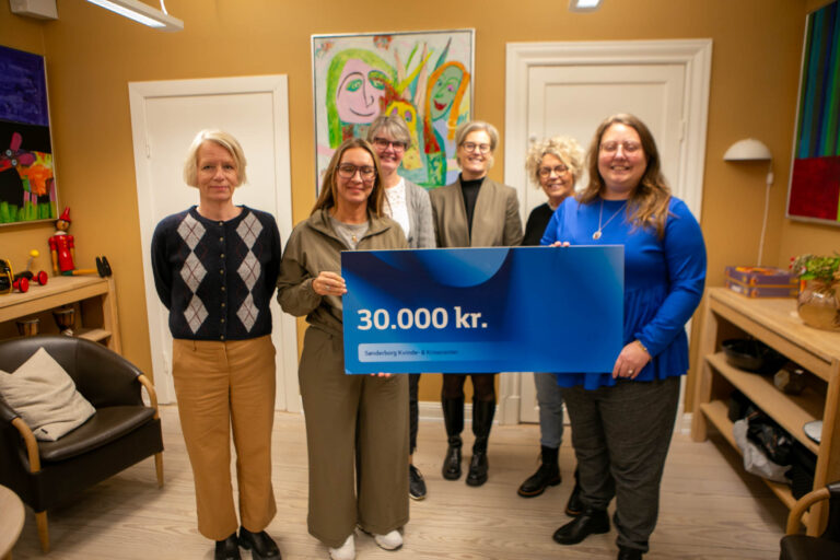 Kvindekomiteen donerede det største beløb nogensinde