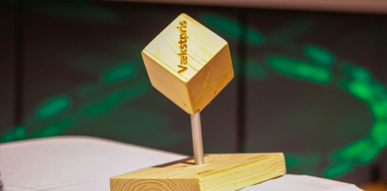 En vækst på 2.912 procent førte til Vækstprisen