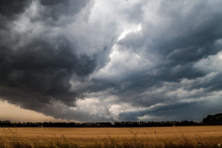 Nytårsnat: Advarer om vindstød af stormstyrke