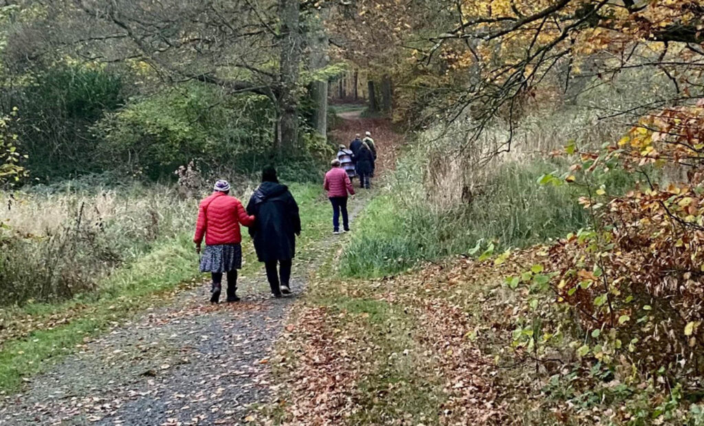 NaturStærk inviterer kvinder med i skoven
