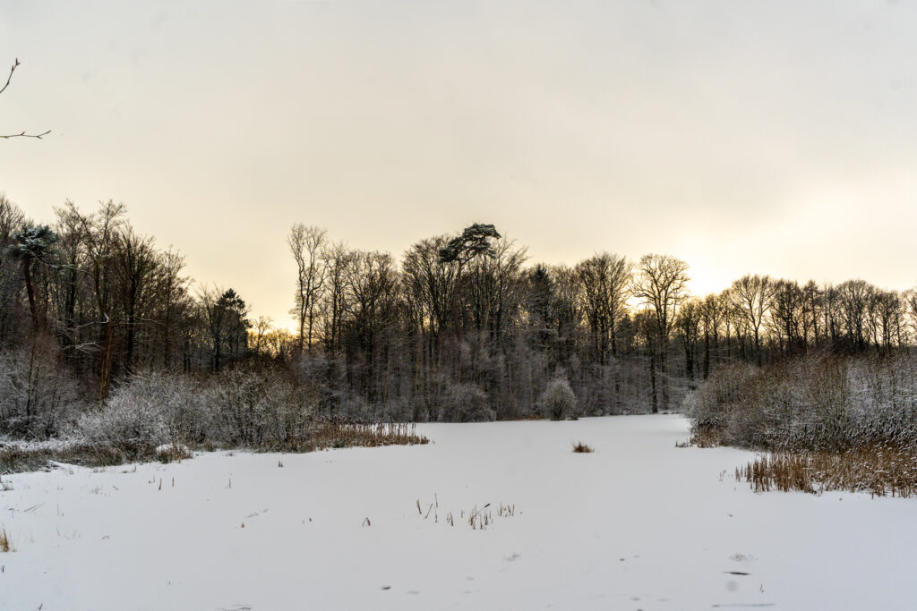 Snestorm: Stå op i god tid i morgen