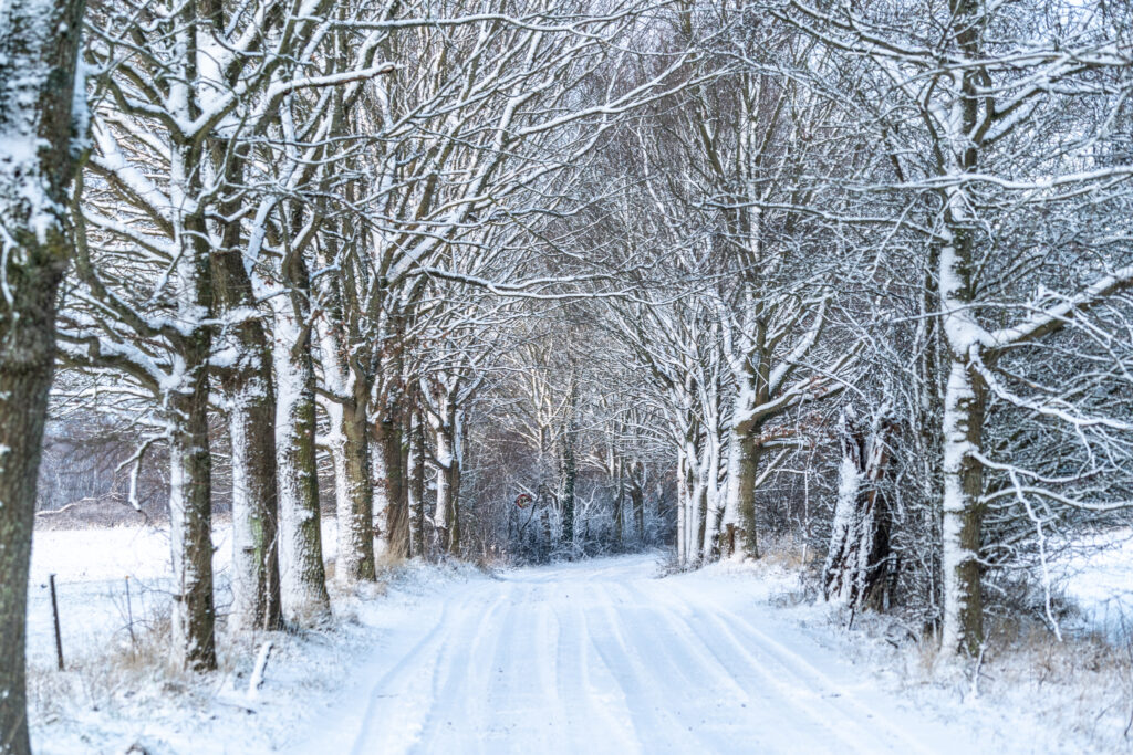 Der kan komme sne i løbet af i dag
