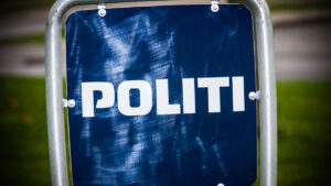 Hvem var manden der sprang fra Alssundbroen?