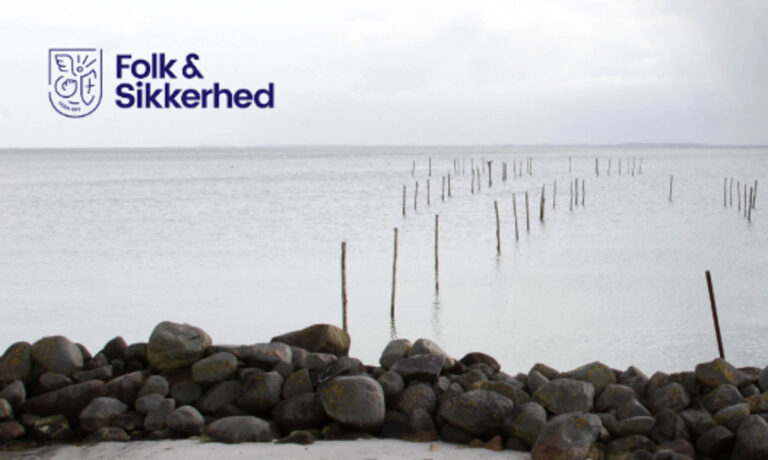 Hvad laver de russiske skibe i Østersøen?