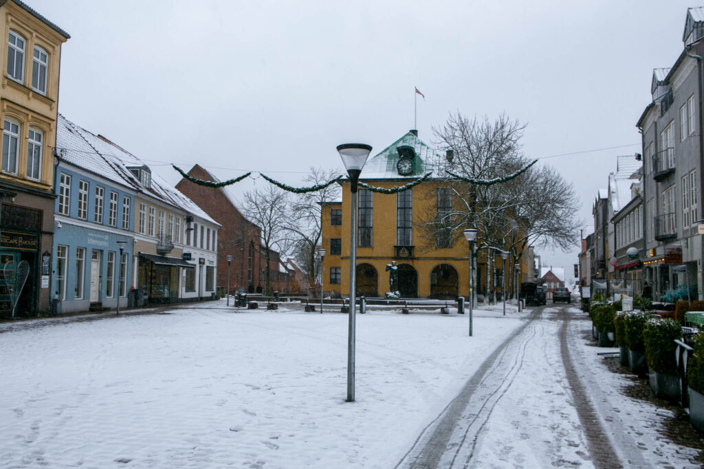 Økonomi- og Strategi-udvalget nåede ikke hele deres dagsorden