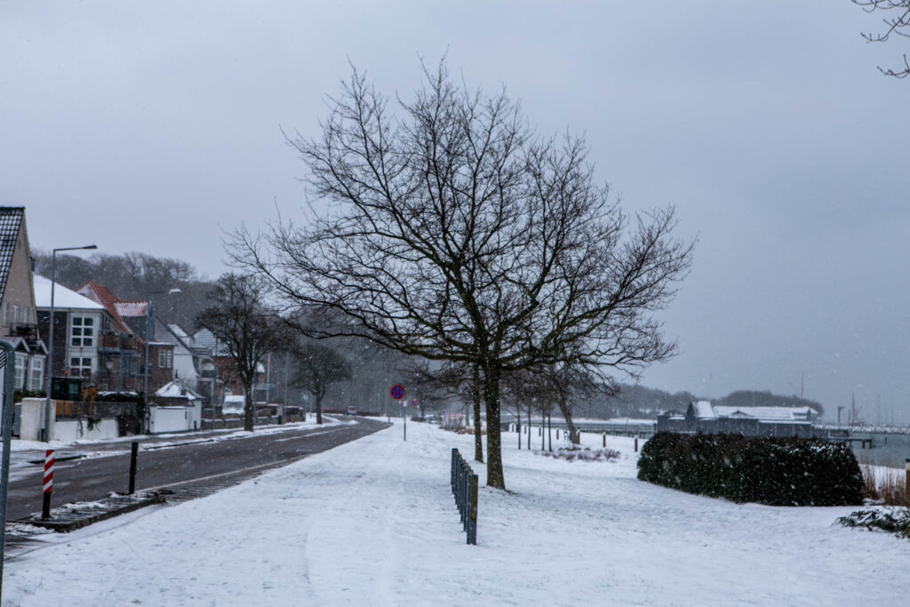 Drift & Beredskab: Der er et behov for bedre vinterbekæmpelse flere steder