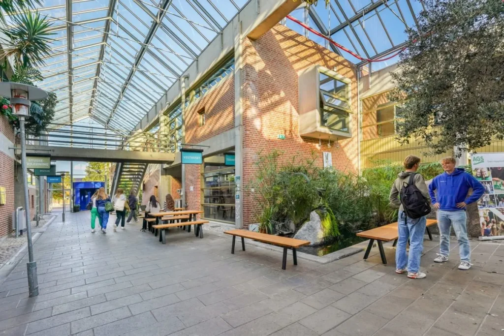 AGS-eleverne stortrives