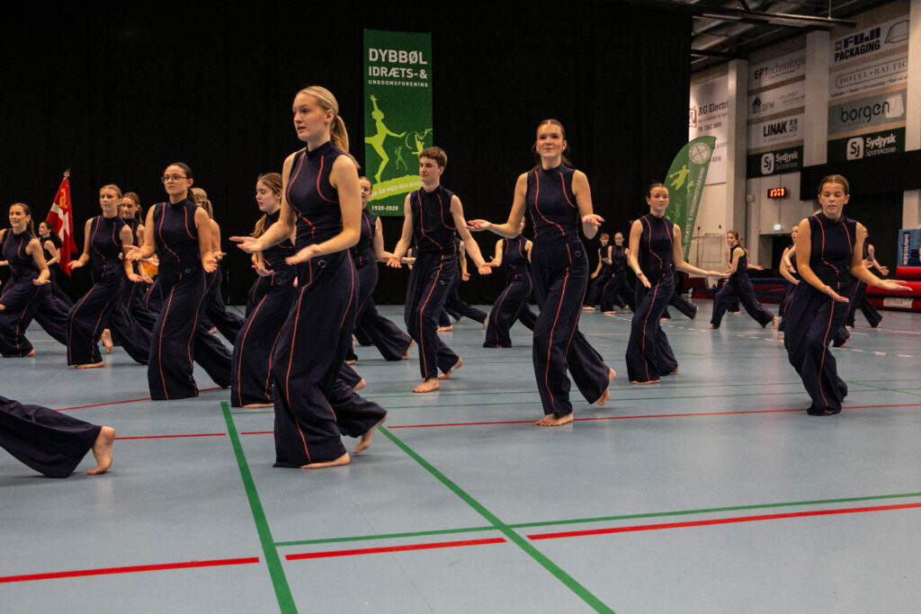 Gymnasterne fik vist hvad de kan