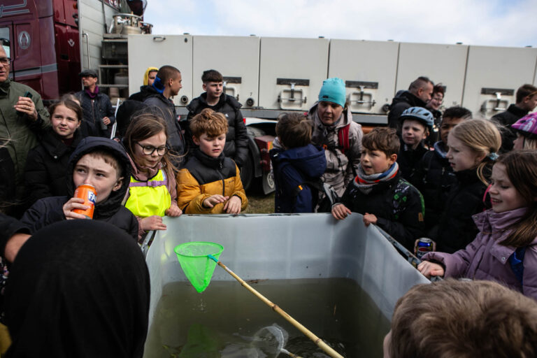 Børn kan hjælpe med at sætte små ørreder i vandet