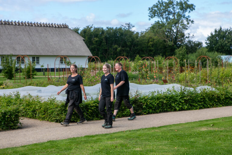 Den Kongelige Køkkenhave giver råd og tips til dit haveprojekt