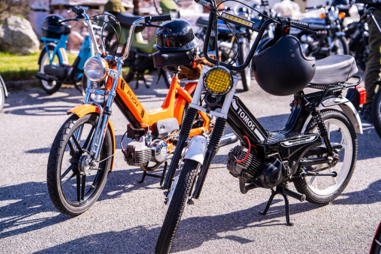 Alsbanditte og venner på forårstur