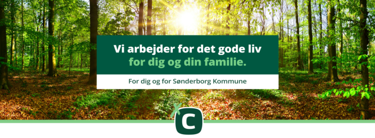 Konservative inviterer til Grundlovsfejring