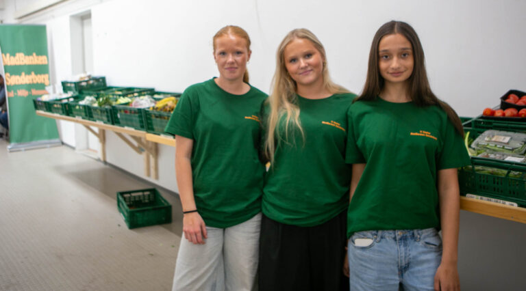 Frivillig social og sundhedsfremmende skole er en succes