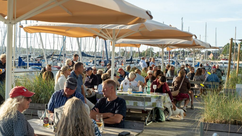 Musik i lystbådehavnen