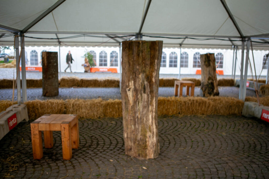 Træstammerne står klar til kunstnerne