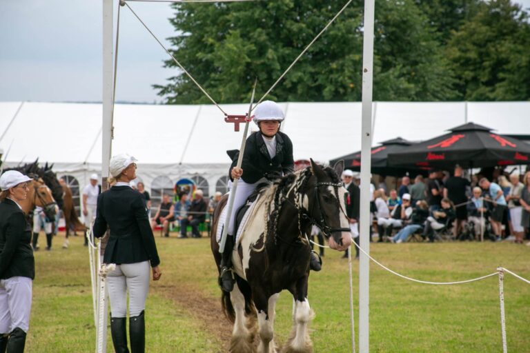 Søndag indtager hestene Ringriderpladsen i Guderup