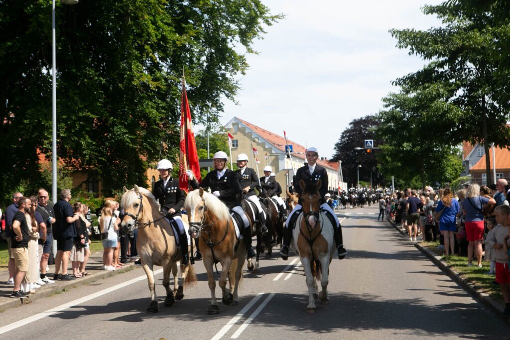 Gammelt Nyt: Festskrift fra Sønderborgs 25. ringriderfest