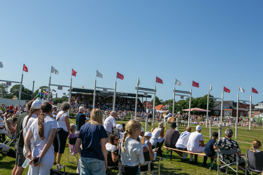 Se hvem der vandt ringridningen