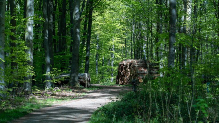 Ny plan skal løfte vores natur