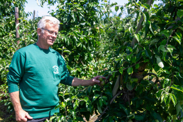 Hestehavegård Frugtplantage er med på Æblefestivalen